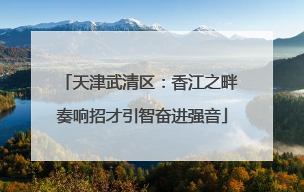 天津武清区：香江之畔奏响招才引智奋进强音