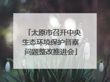 太原市召开中央生态环境保护督察问题整改推进会
