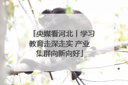 央媒看河北丨学习教育走深走实 产业集群向新向好