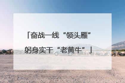 奋战一线“领头雁” 躬身实干“老黄牛”