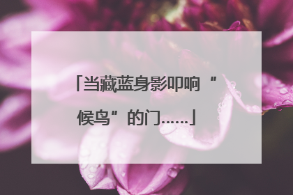 当藏蓝身影叩响“候鸟”的门……
