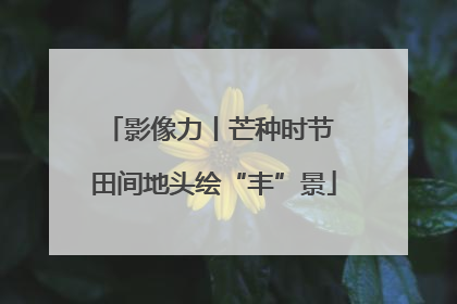 影像力丨芒种时节 田间地头绘“丰”景
