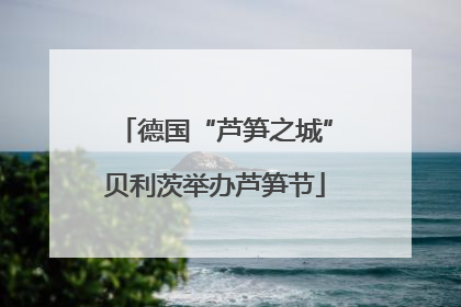 德国“芦笋之城”贝利茨举办芦笋节