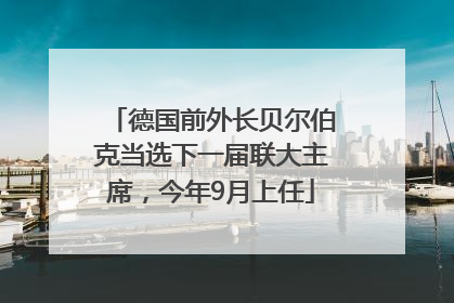 德国前外长贝尔伯克当选下一届联大主席，今年9月上任