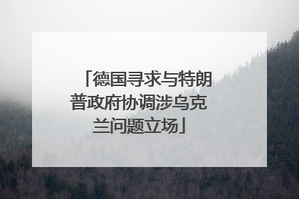 德国寻求与特朗普政府协调涉乌克兰问题立场