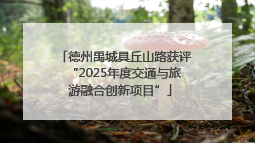 德州禹城具丘山路获评“2025年度交通与旅游融合创新项目”