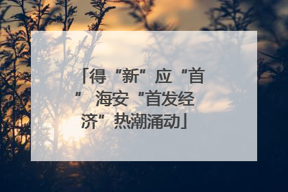 得“新”应“首” 海安“首发经济”热潮涌动