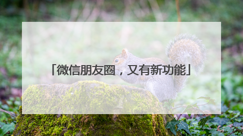 微信朋友圈，又有新功能