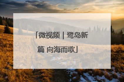 微视频｜鹭岛新篇 向海而歌