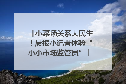 小菜场关系大民生！晨报小记者体验“小小市场监管员”