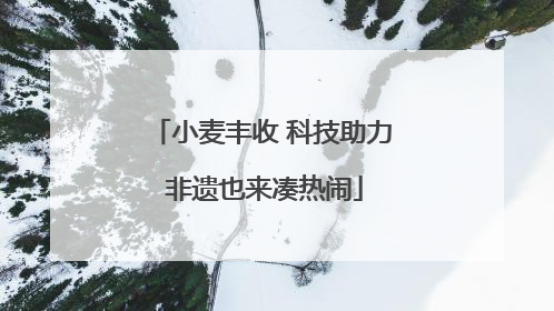 小麦丰收 科技助力 非遗也来凑热闹