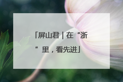 屏山君｜在“浙”里，看先进
