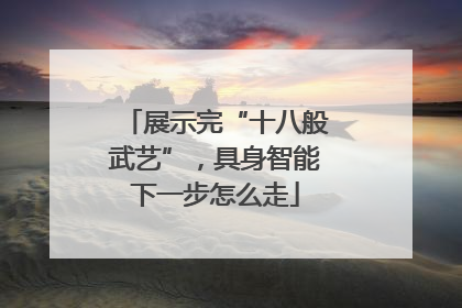 展示完“十八般武艺”，具身智能下一步怎么走