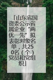 山东省国资委公示省属企业“两优一先”拟表彰对象名单，共250名（个）党员和党组织