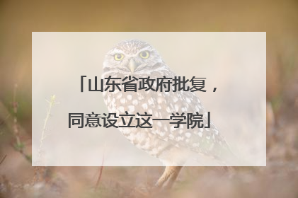 山东省政府批复，同意设立这一学院