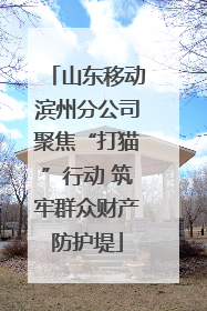 山东移动滨州分公司聚焦“打猫”行动 筑牢群众财产防护堤