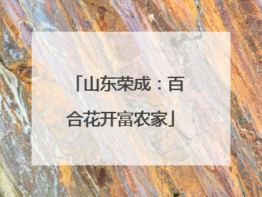 山东荣成：百合花开富农家