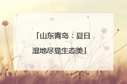 山东青岛：夏日湿地尽显生态美