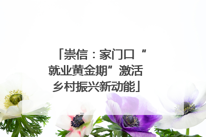 崇信：家门口“就业黄金期”激活乡村振兴新动能