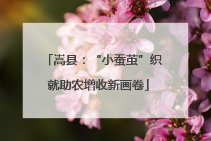 嵩县：“小蚕茧”织就助农增收新画卷