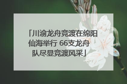 川渝龙舟竞渡在绵阳仙海举行 66支龙舟队尽显竞渡风采