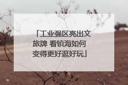工业强区亮出文旅牌 看镇海如何变得更好逛好玩