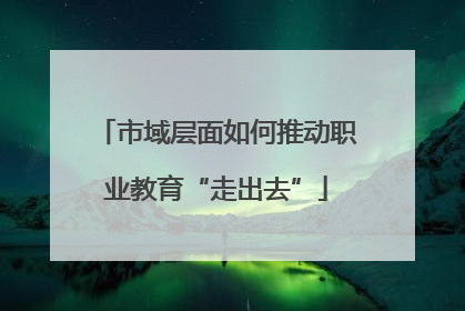 市域层面如何推动职业教育“走出去”