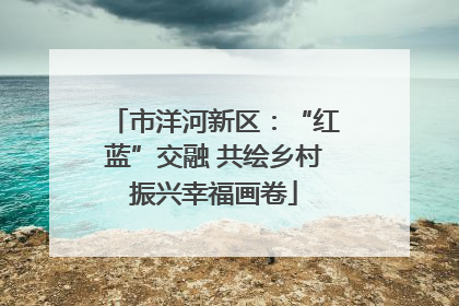 市洋河新区：“红蓝”交融 共绘乡村振兴幸福画卷