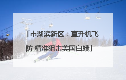 市湖滨新区：直升机飞防 精准狙击美国白蛾