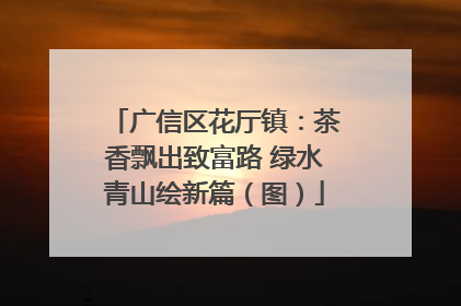 广信区花厅镇：茶香飘出致富路 绿水青山绘新篇（图）