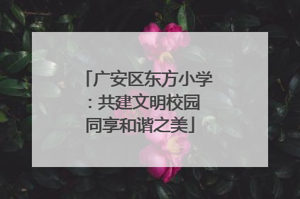 广安区东方小学：共建文明校园 同享和谐之美