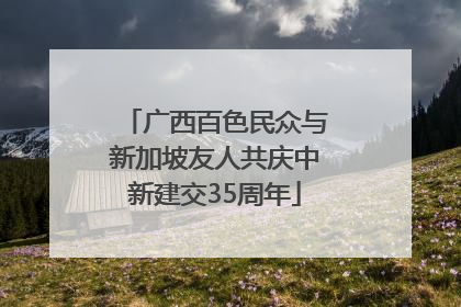 广西百色民众与新加坡友人共庆中新建交35周年