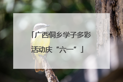 广西侗乡学子多彩活动庆“六一”