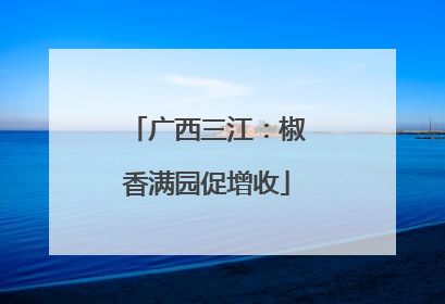 广西三江：椒香满园促增收