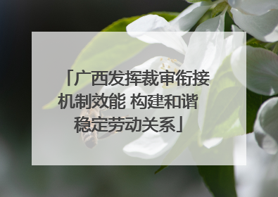 广西发挥裁审衔接机制效能 构建和谐稳定劳动关系