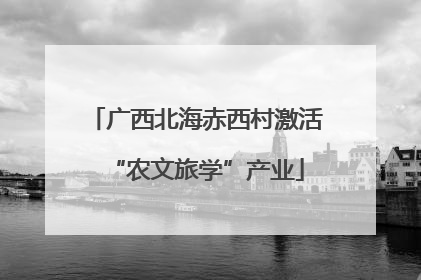 广西北海赤西村激活“农文旅学”产业
