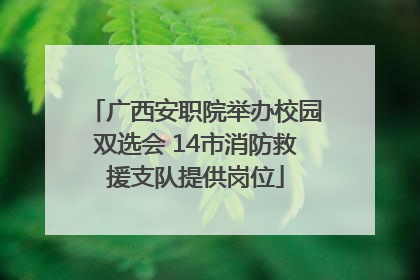 广西安职院举办校园双选会 14市消防救援支队提供岗位