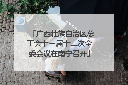 广西壮族自治区总工会十三届十二次全委会议在南宁召开