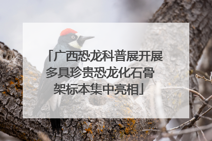 广西恐龙科普展开展 多具珍贵恐龙化石骨架标本集中亮相