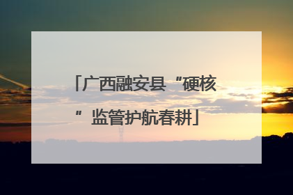 广西融安县“硬核”监管护航春耕