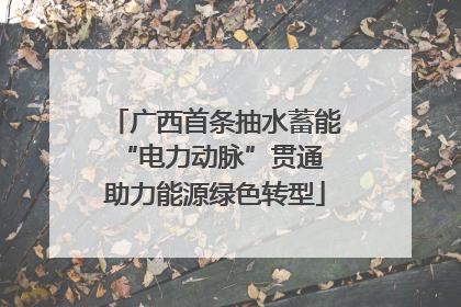 广西首条抽水蓄能“电力动脉”贯通 助力能源绿色转型