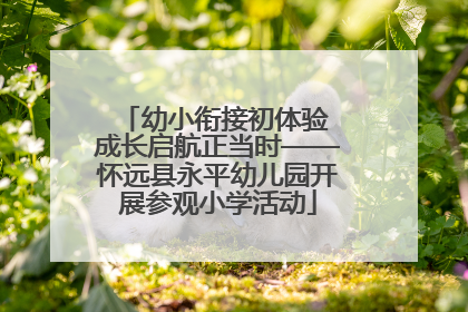 幼小衔接初体验 成长启航正当时——怀远县永平幼儿园开展参观小学活动