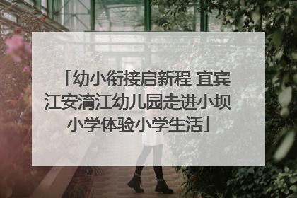 幼小衔接启新程 宜宾江安淯江幼儿园走进小坝小学体验小学生活