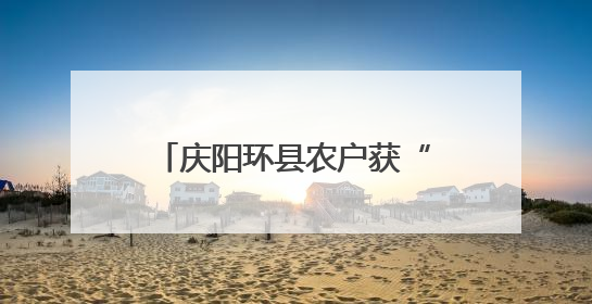 庆阳环县农户获“金融礼包” 普惠贷款助力产业升级