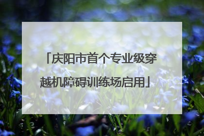 庆阳市首个专业级穿越机障碍训练场启用