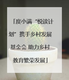 度小满“悦读计划”携手乡村发展基金会 助力乡村教育繁荣发展
