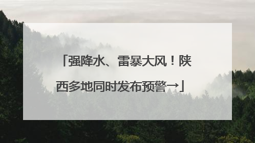 强降水、雷暴大风！陕西多地同时发布预警→