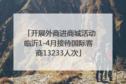 开展外商进商城活动 临沂1-4月接待国际客商13233人次