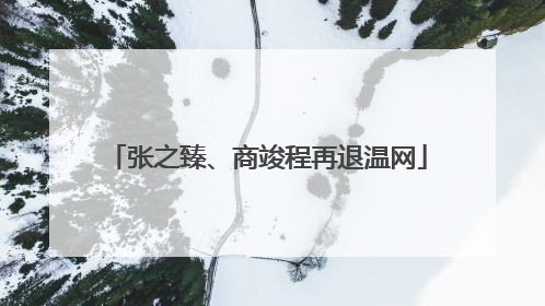 张之臻、商竣程再退温网