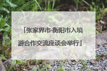 张家界市·衡阳市入境游合作交流座谈会举行